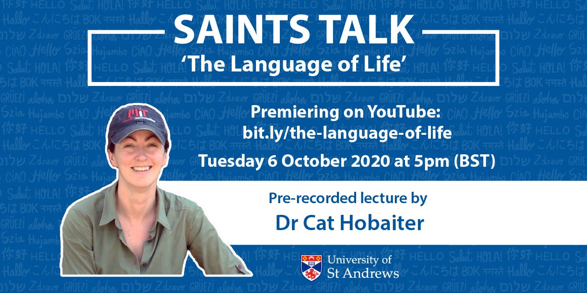 UStAAlumni's tweet photo. Saints Talk: 'The Language of Life' by Dr Cat Hobaiter

Premiering on YouTube: https://t.co/RvdHsqlWCg

Dr Cat Hobaiter (@NakedPrimate) will use studies of ape communication and mind to trace different ways we've tried to ask questions about the human language.

#foreversaints https://t.co/P4bORTM6wz