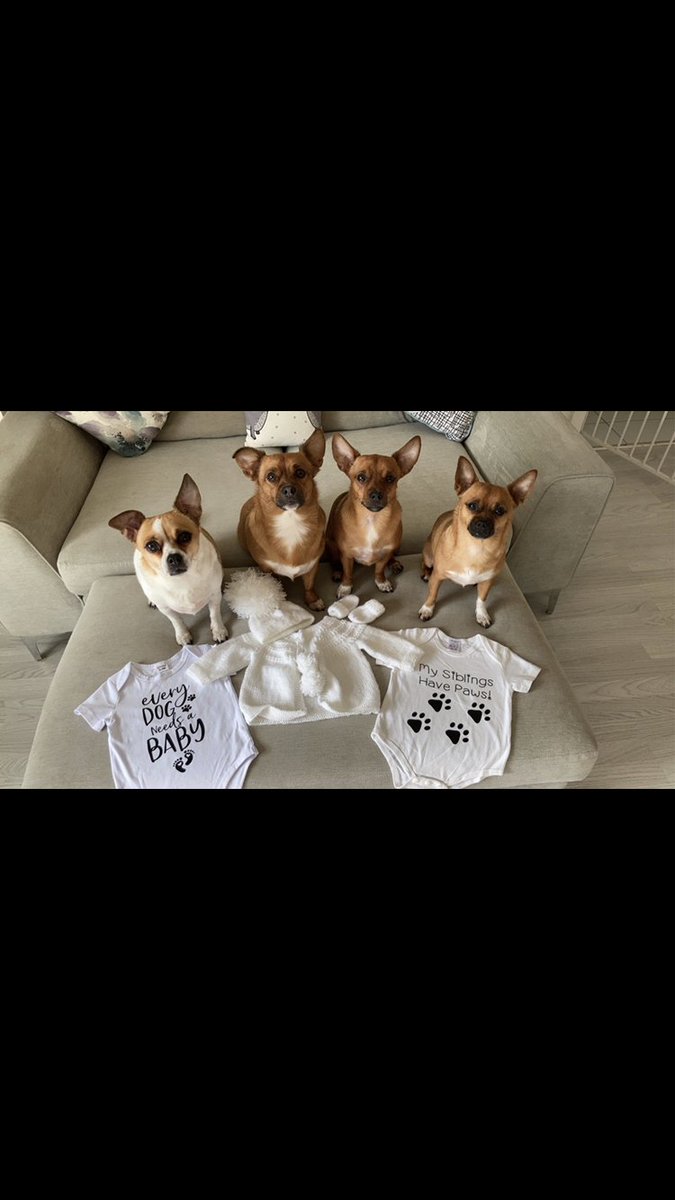 Nickimurphy25's tweet photo. Baby M due in april 🤍 https://t.co/UkgnctV7KR