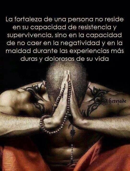 _GhostSpirit_'s tweet photo. @jacintaibiza @1asufridoramas @javigalvarez @Sedolor @DolorPuntoCom @tuvidasindolor @MateosAlm @LauraIArranz @leo_veritas @danzando_mp @PacientSemergen @pacienteqcuenta @CatalinaCovas @silviaginies @quistestarlov @joancmarch @EvaAnyon Mucha meditación gracias a la Música Binaural/Delta/Herzial [#GlennHarrold #NuMeditationMusic], Yoga <básico> de estiramientos sencillos, rodearme de Plantas "purificadoras", Aromaterapia, Jabones, Sales, Aceites, Velas, Gemas, Mala's, 📿..., ¿y? Llamadme #Scherezade... 😄 &amp; 🙌🏼 https://t.co/R1n4KwlAgF