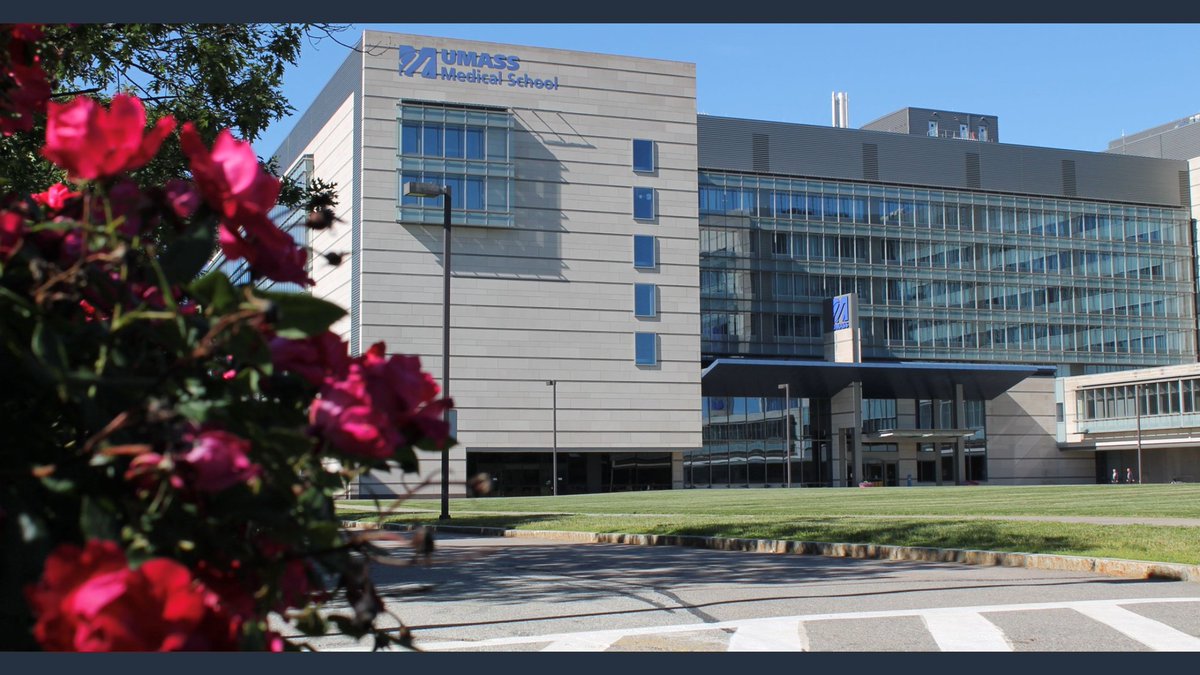 UMass Chan Internal Medicine Primary Care Track tweet media