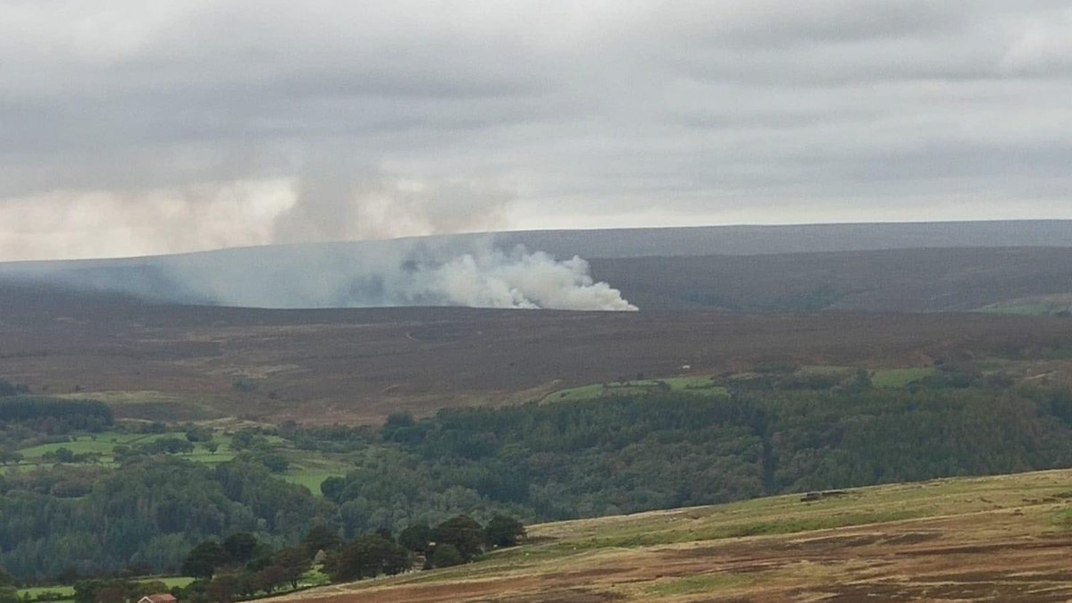 Grouse moors have begun burning near Egton, in @NorthYorkMoors, this lunchtime despite the UK being in the midst of a public health emergency. 💨 If you spot burning please message @NYMMonitors or contact our tip-off line on 07591 380688.