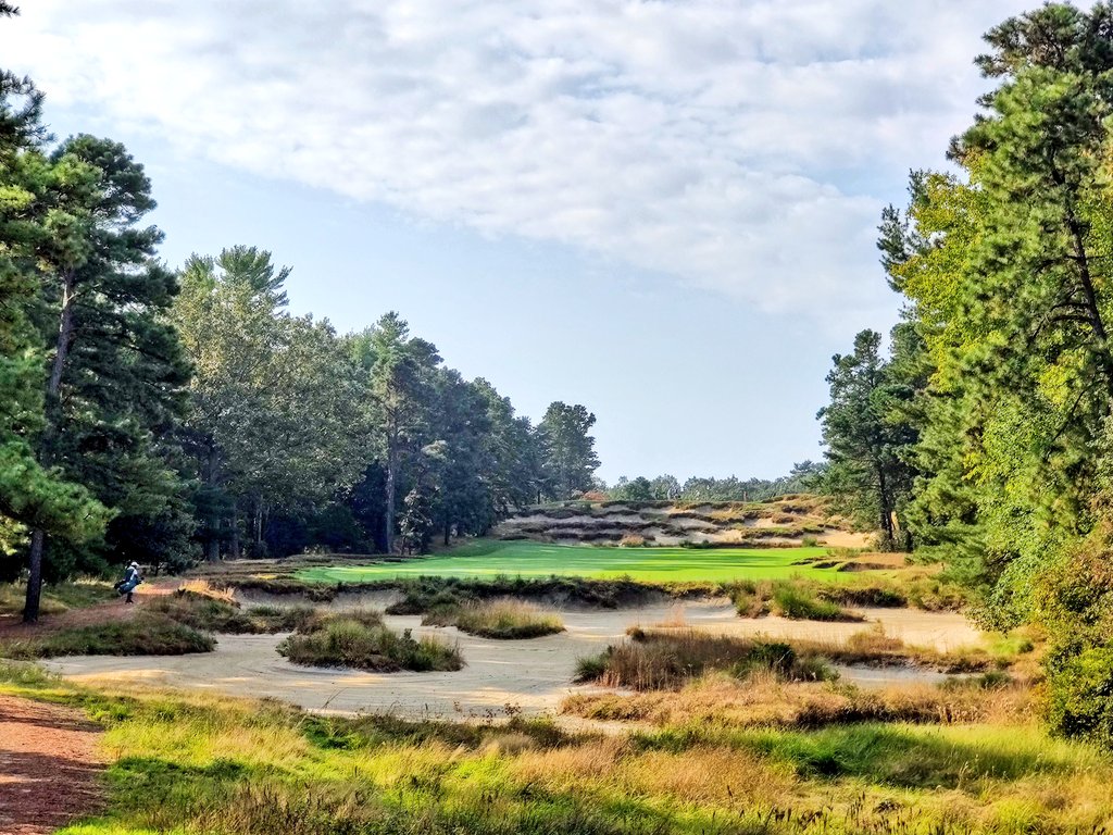 Simon Haines tweet media