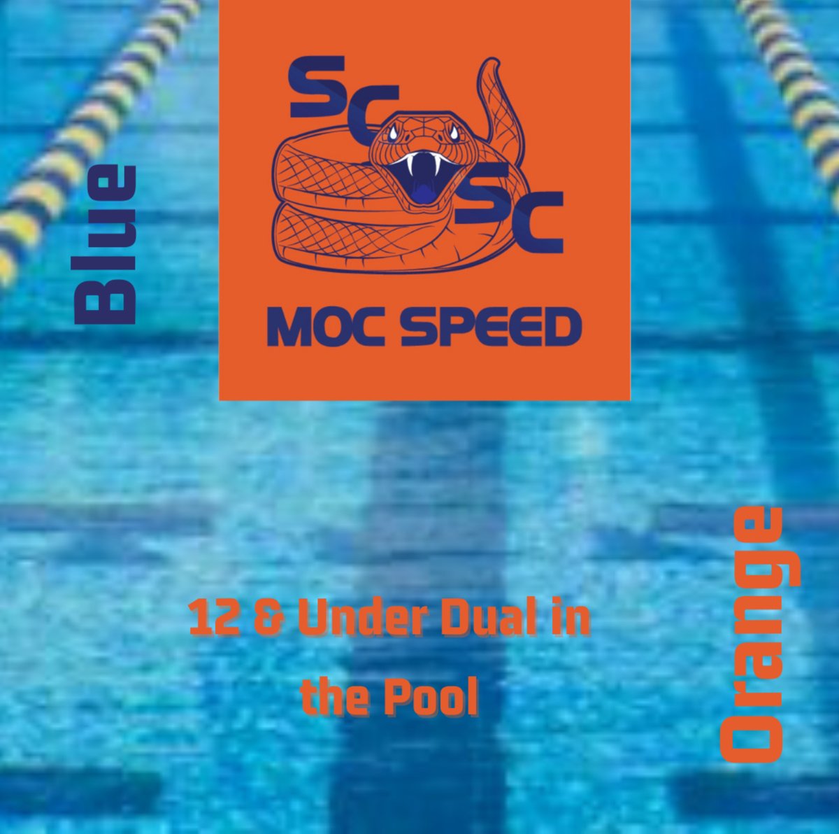 SCSCSwimming's tweet photo. Ready, Set & Go! Orange vs Blue Dual in the pool.Saturday! 12 & Under Take the blocks at #MOCSPEED! Let’s hear it for the SCSC Mini’s #MOCStars!,#M&M’s,#SCSCswimming,#scswim,#dualinthepool,#scbest,#MOCtober https://t.co/UBjbyXGGcZ