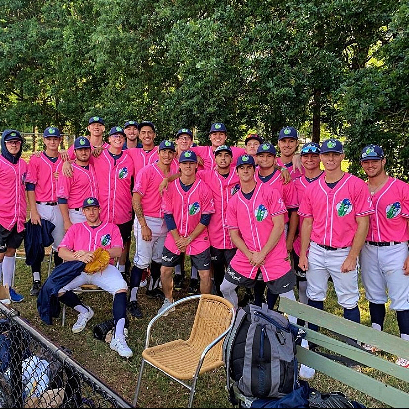 picklesbaseball's tweet photo. October is #BreastCancerAwarenessMonth! Here's some photos from our Breast Cancer Awareness nights in the past. #PinkPickles🥒⚾️ https://t.co/pNFVzmzzPk