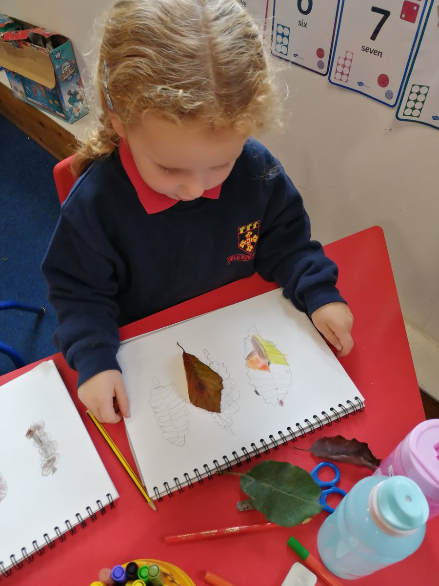 GreatBudworthps's tweet photo. This afternoon Class Two have been doing observational drawings with autumnal treasures 🍂🍁
#classtwo #shading #autumn https://t.co/JcWT6FThuH