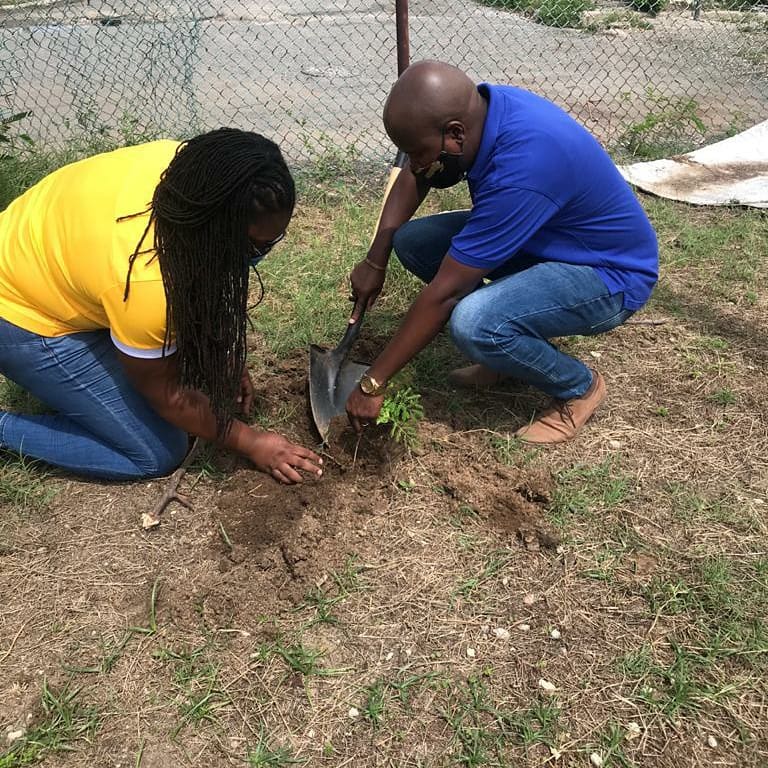 ForestryDeptJa's tweet photo. 22 seedlings were planted at the Portsmouth Primary as part of an going ecofriendly project that will see the planting of approximately 100 trees on the school's compound.
We are proud to be a partner of this great initiative.
#ForestryDeptJa #NTPD2020 #trees4health https://t.co/vYYa7mdYiY
