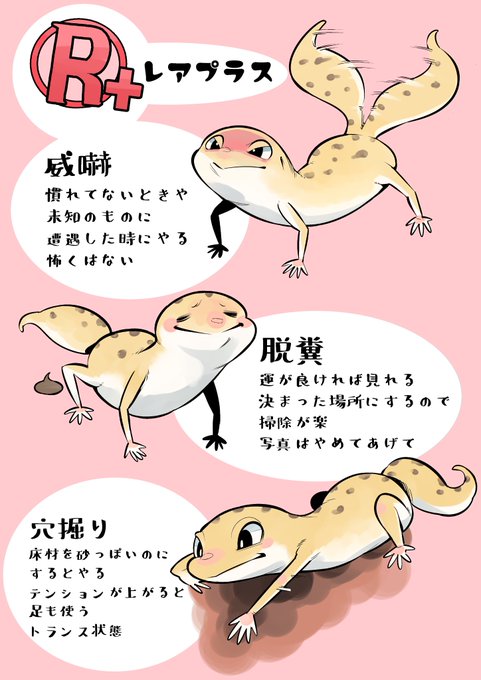 Okbokujou Sskさんのイラストまとめ