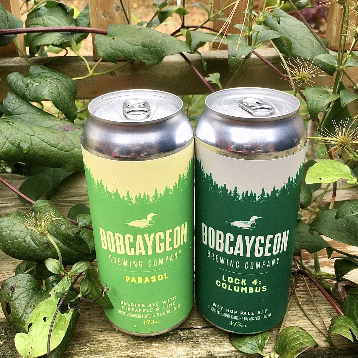 Second is Lock 4: Colombus. Continuing our single hop series we created a Wet Hop Pale Ale using Columbus Hops from <a href="/VQH_Farms/">VQH Farms</a>. You’ll find major notes of lemon, grass and stone fruit!

Both now available online and in-store!  (2/2)