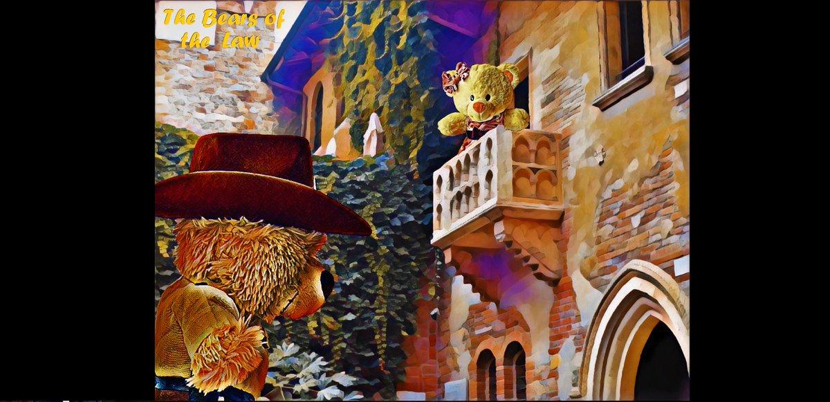 Thebearofthelaw's tweet photo. She watch as he passed by every morning on his way to work. 

#colour_collective #Verona #Lovestory https://t.co/09PBDivD5m