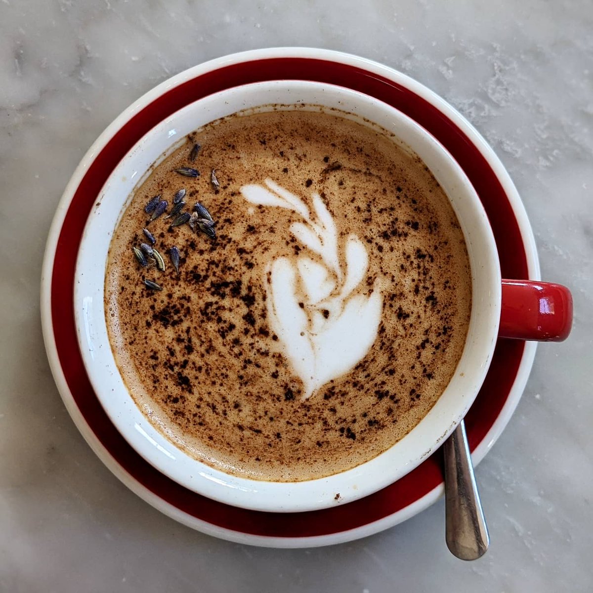 InfinitePantry's tweet photo. COLLINS QUARTER☕  Beautiful space and beautiful food! We had their coconut maple chia pudding with kiwi, mango puree and pepitas; the avocado smash (no cheese or egg) with beet hummus and their famous spiced lavender mocha with homemade almond milk @thecollinsquart #vegan https://t.co/nBEKvUtVqJ