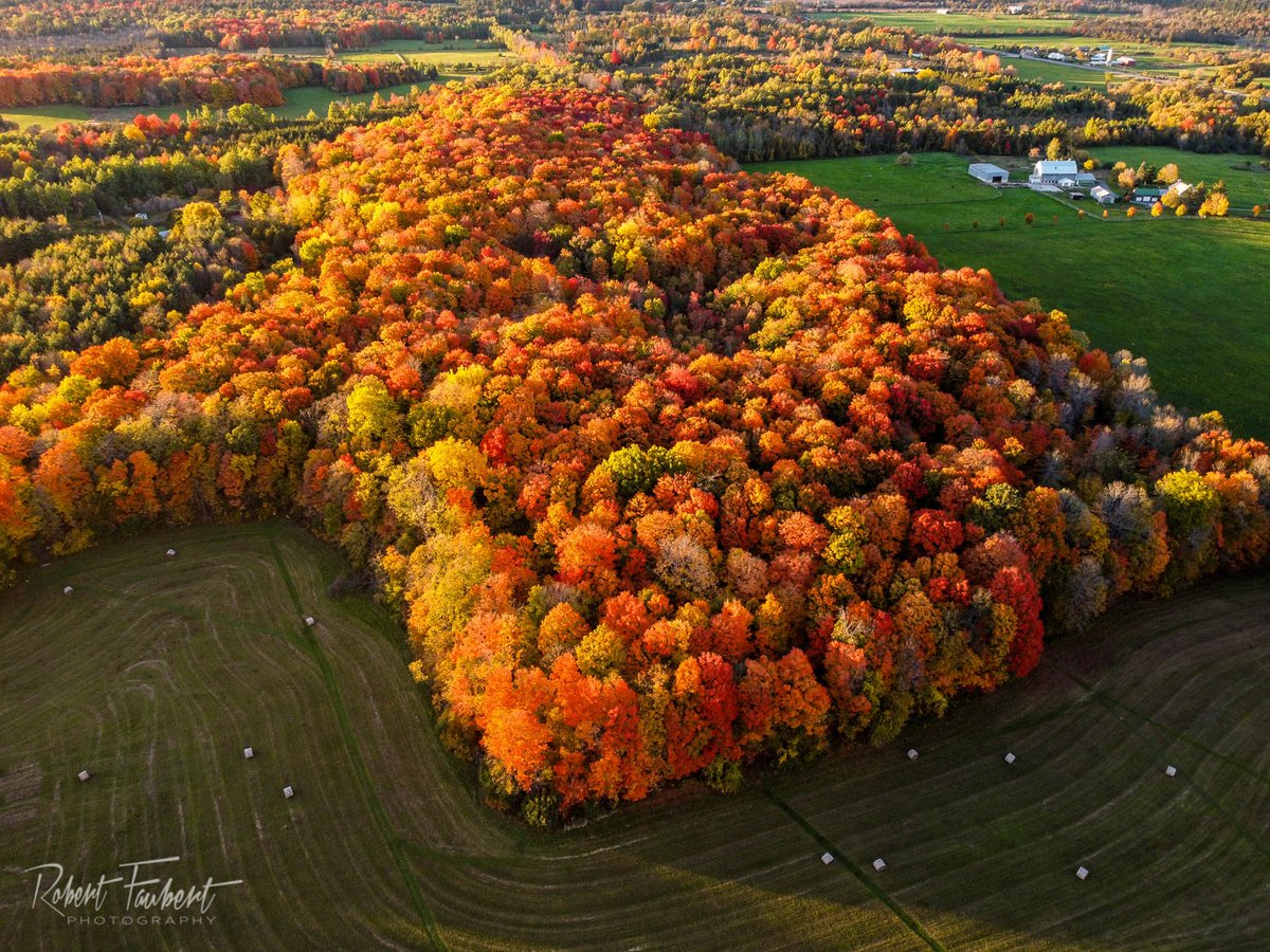 Peak colour in eastern Ontario, beautiful evening yesterday to enjoy all that makes Autumn so special. 
<a href="/DJIGlobal/">DJI</a> #dronephotography #mississippimills #ottawavalley <a href="/OnHighlands/">Ontario's Highlands</a> <a href="/Ottawa_Tourism/">Ottawa Tourism</a> #landscapephotography