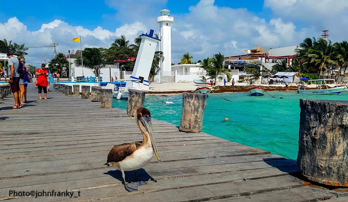 <a href="/TorrucoTurismo/">MiguelTorrucoMarqués</a> <a href="/SECTUR_mx/">SECTUR México</a> <a href="/DOF_SEGOB/">Diario Oficial DOF</a> #PatrimonioTurístico  #PueblosMágicos pertinente estrategia que consolidara a los #Municipios de #QuintanaRoo iniciando con #PuertoMorelos <a href="/LauFdzOficial/">Laura Fernández 💫</a> <a href="/miguel_zetina/">Miguel A. Zetina</a> <a href="/cristinazuetar/">Cris</a> <a href="/TheAlanAlexis/">Alan Alexis Juarez 🔥</a> <a href="/Marafer80631146/">Mafer Guerra</a> <a href="/ContraloriaPm/">ContraloríaPM</a> <a href="/ri_raymundo/">Raymundo Martinez Ri</a> <a href="/MarianaVazquezE/">🌊✨</a> <a href="/mapachestec/">@MAPACHESTec</a>