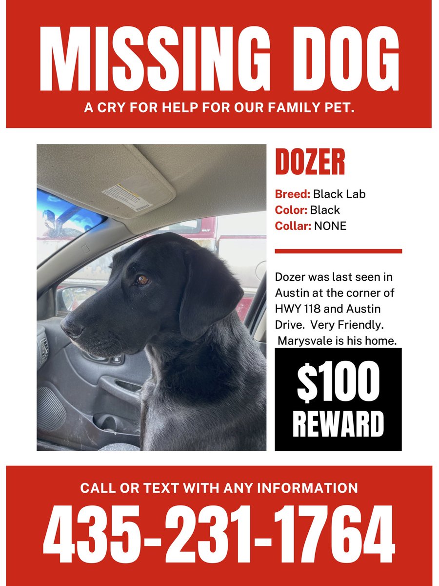 pogscomputer's tweet photo. Please help find Dozer https://t.co/vUh0Lr71rR