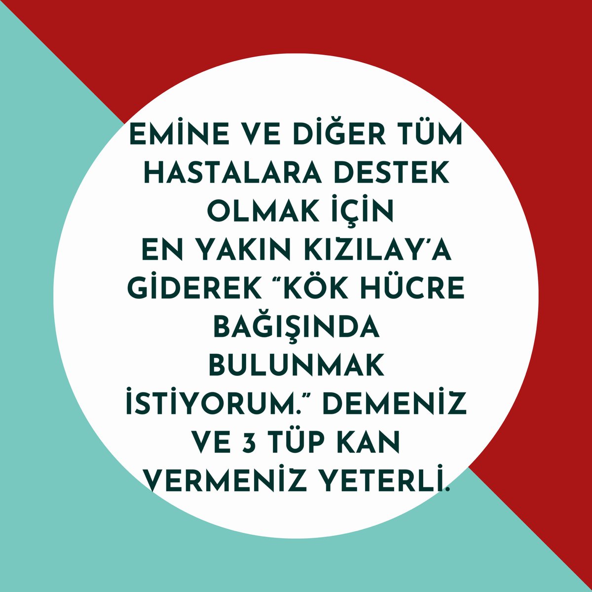 SaglRuh's tweet photo. KÖK HÜCRE BAĞIŞI YAP #EmineAkgüleUmutOl  

Peki bu kök hücre bağışı nasıl yapılır? https://t.co/R208aeMTlb
