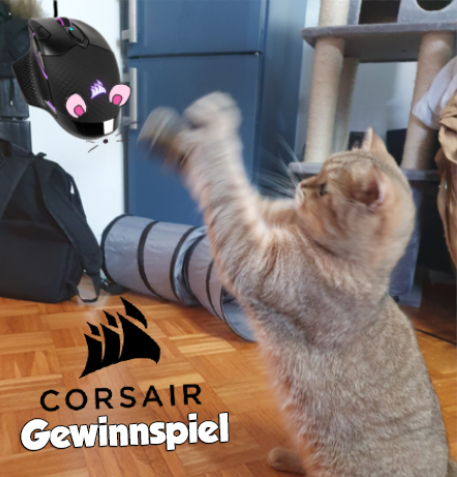 Anzeige
Tico geiert schon auf die Maus, aber dafür muss er am Gewinnspiel Teilnehmen!
Diesmal gibt es eine Wireless Dark Core RGB PRO und das MM500 3XL Mauspad, zum teilnehmen einfach Like, RT, <a href="/CORSAIRDE/">CORSAIR Deutschland</a> folgen und ein süßes Katzenbild kommentieren 
T&amp;C: bit.ly/SolaCorsairTnCs