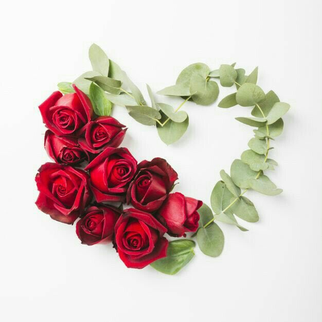 cds444w's tweet photo. @Adelahalsooud 

مرورك تغريدتي جبر خاطر  يسعد ايامك🌸🌺🌼🌸🌺🌼 https://t.co/wbZ4PrfgPU