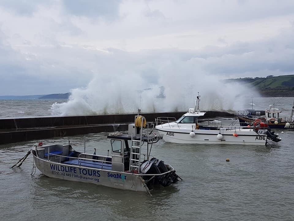 New_Quay_RNLI's tweet photo. This is the view from the lifeboat station this morning. With #StormAlex bringing strong winds &amp; rough seas this weekend, stay safe if you're heading to the coast. Keep away from cliff edges and keep a safe distance from the water's edge #newquaywales #rnli #RespectTheWater https://t.co/8Q0TUGUE82