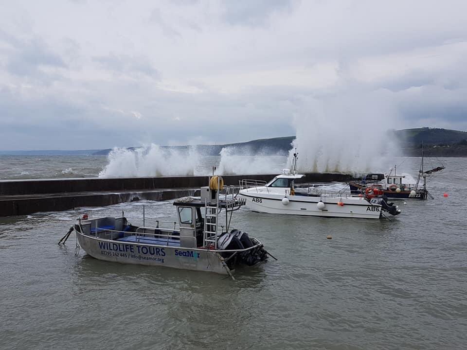New_Quay_RNLI's tweet photo. This is the view from the lifeboat station this morning. With #StormAlex bringing strong winds &amp; rough seas this weekend, stay safe if you're heading to the coast. Keep away from cliff edges and keep a safe distance from the water's edge #newquaywales #rnli #RespectTheWater https://t.co/8Q0TUGUE82