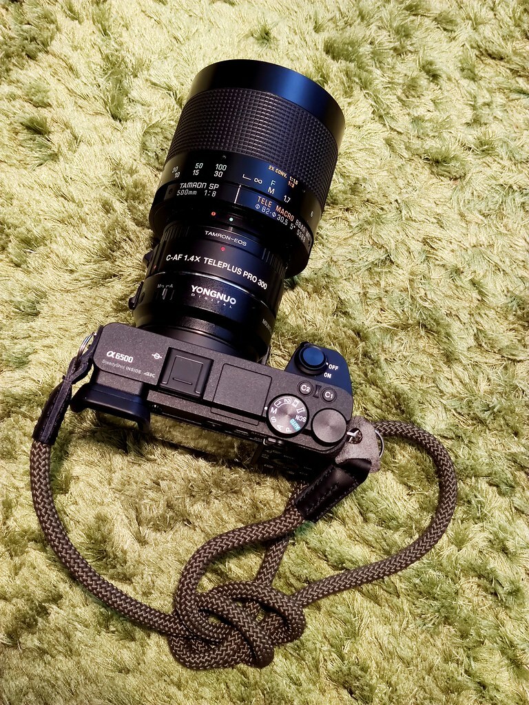 datafok's tweet image. setup for happy mid autumn 2020 flic.kr/p/2jNpj1v