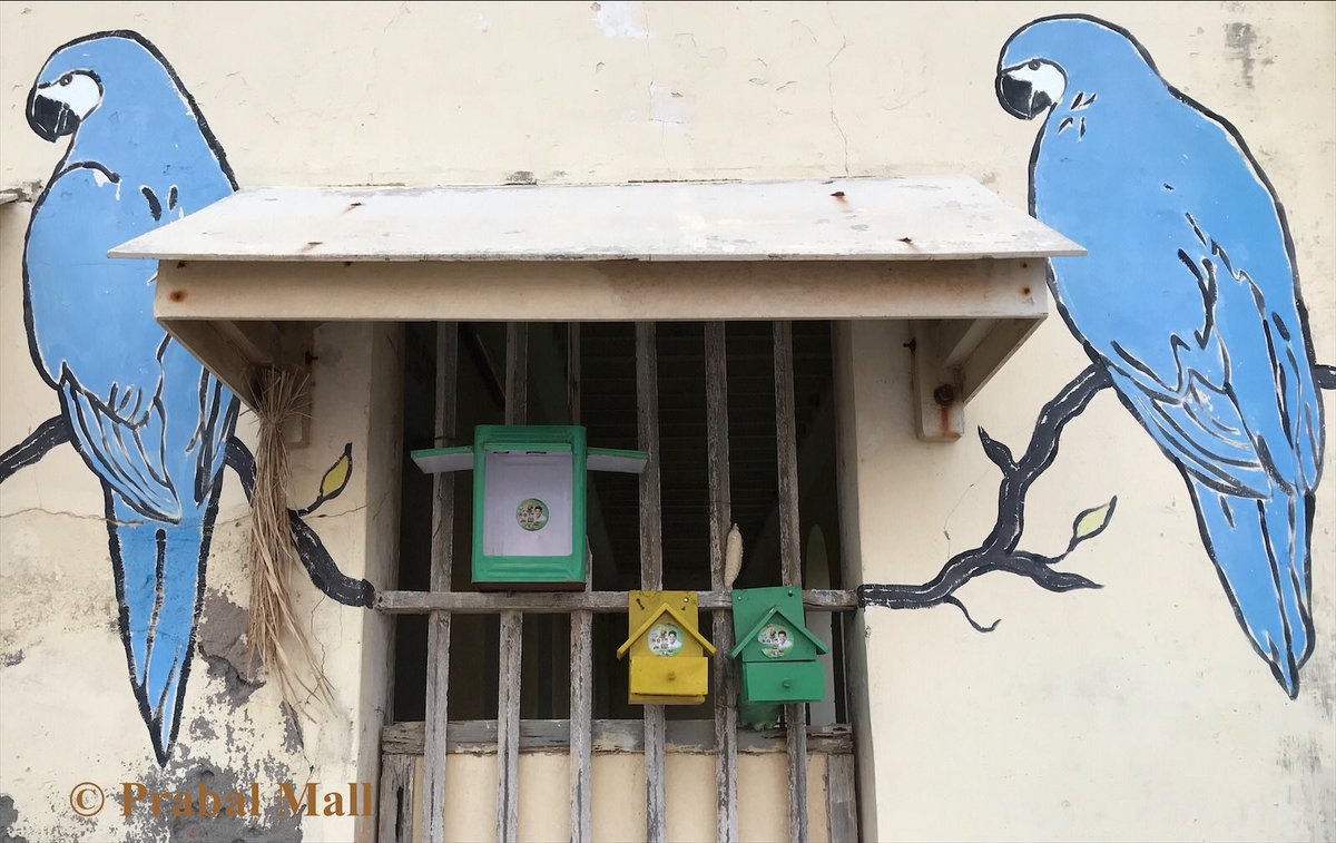 TravelerEternal's tweet photo. Water/Grains/Straws for Birds #PromenadeBeach #Pondicherry @OrnithophileI @worldbirds32 @iam_Pirai @Saket_Badola  @rameshpandeyifs @surenmehra @kundan_ifs @verma_akash  @SanjibIfs @DrDheerajPandey @rajkumar_ifs  @pargaien @seesantu @RavindraIfs @rohithgopidi @CentralIfs https://t.co/PQGxESVii5