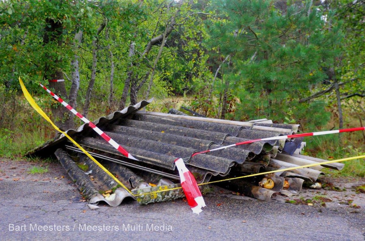 Grote dumpen van asbestplaten in Buitengebied van Helvoirt &amp; Cromvoirt -..