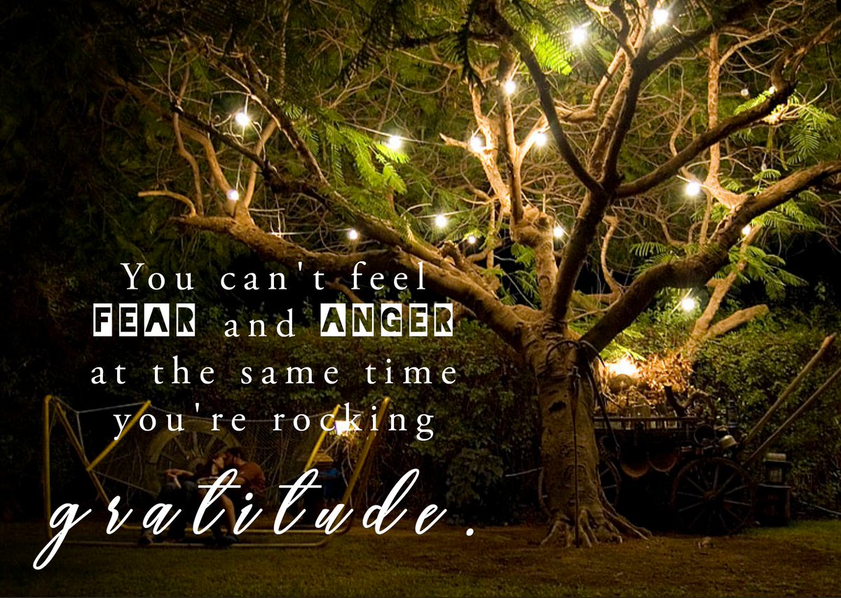 Author Calinda B tweet media