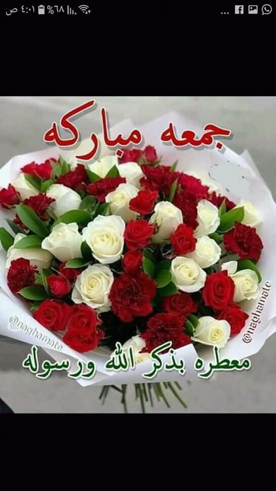 SitefBrahim's tweet photo. @wwrali20 https://t.co/FPbMapP37J