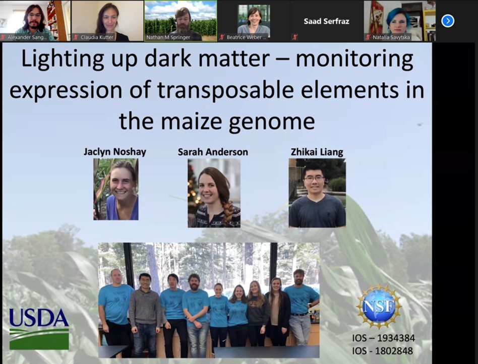 alexander_suh's tweet image. Next invited speaker at #UppTransposon2020 is @SpringerNathan talking about his exciting research on maize TE expression!