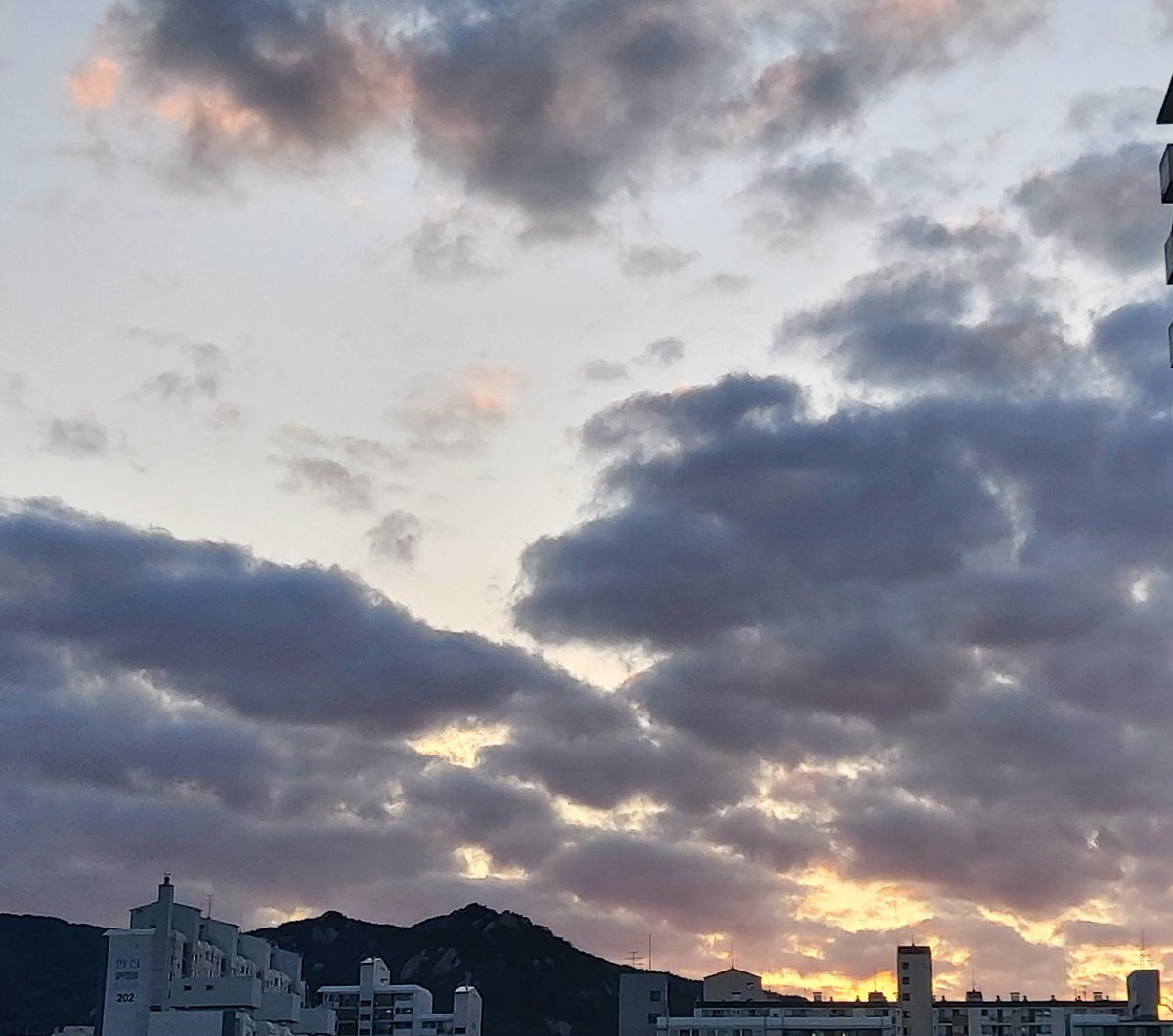 저기 빛이 있다.
늘어진 나무가지 속 흰빛.
우리가 무한히 자란다면
계절없는 나무사이를 헤메지 않을 텐데.
<박은정. 흰빛> 중.

빛을 따라 걸을때는 풍경만 보인다.
빛이 사라져야 보이는 것들은.. 
대부분 고요하고, 아련함이 묻어있다.