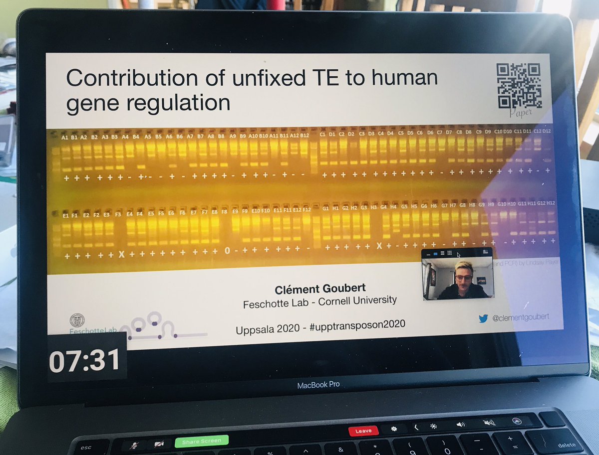 CedricFeschotte's tweet image. Great talk by @clementgoubert on polymorphic TE insertions and human gene regulatory variation. Way to go Clement! 
More here: 
royalsocietypublishing.org/doi/abs/10.109…
#UppTransposon2020