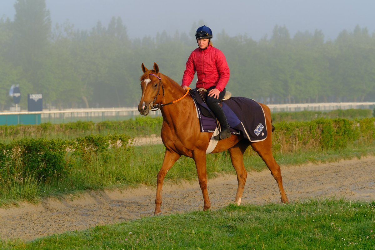 #6 chevaux entrainés à @fgdeauville dans les courses de groupe de ce week-end @paris_longchamp pour le compte de 3 entraineurs @Yannbarberot , Markus Nigge et Jean Claude Rouget. Félicitations 🐎🙌 🍀🍀 aux professionnels @DeauvilleFr @pays_dauge @OuestFrance @Paris_Turf