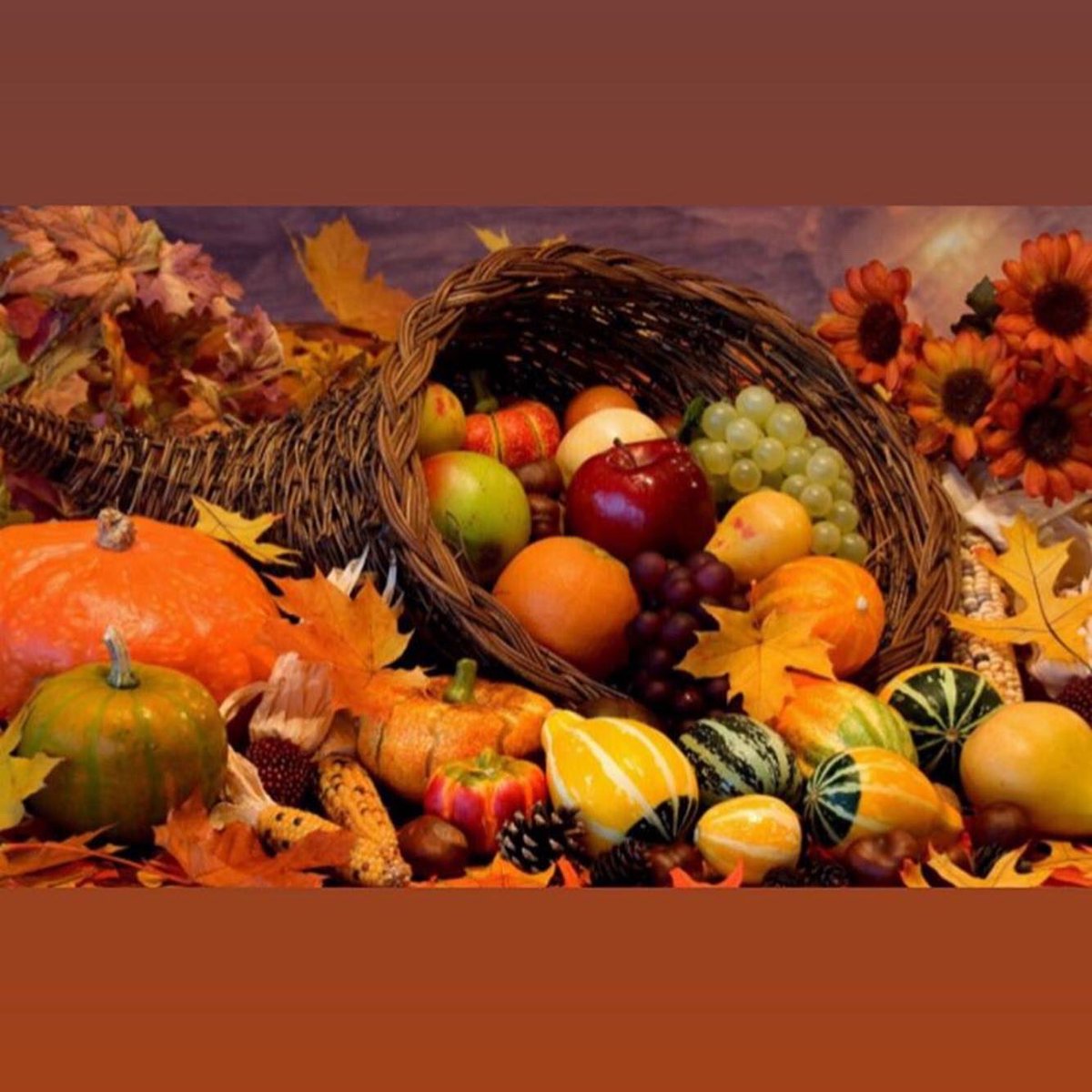 AnaysChros's tweet photo. #autumn #autumnvibes #autumncolours #autumnfood #autumnfruits #Inlove #seasonofthesoul #autumndays 
🍂🍁🌾🥀🍎🍇🍐🌽🕸🎃🕷 https://t.co/FR8xfXS4mk