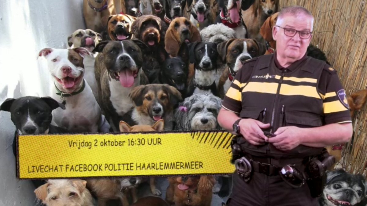 Straks, half vijf #livechat met Jan Simonis (politie), Roos Roelofs (politie) en Martijn Hoogewerf van  <a href="/haarlemmermeer/">Haarlemmermeer</a> Over milieucriminaliteit, bijtincidenten etc. Ze gaan in op al uw vragen!