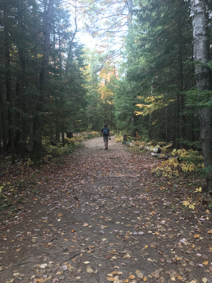 CITechTweets's tweet photo. 🌲🐒 HAPPY FRIDAY!! 🌲💜
Stay connected from anywhere, at any time with TELUS - fastest mobile network. ⚡

Enjoy your time away and never miss notifications from your loved ones.

Ask us for details! ✨
#telus #mobility #phones #bestnetwork #bestphone #smallbusiness #connect https://t.co/qO9HY6MnIL