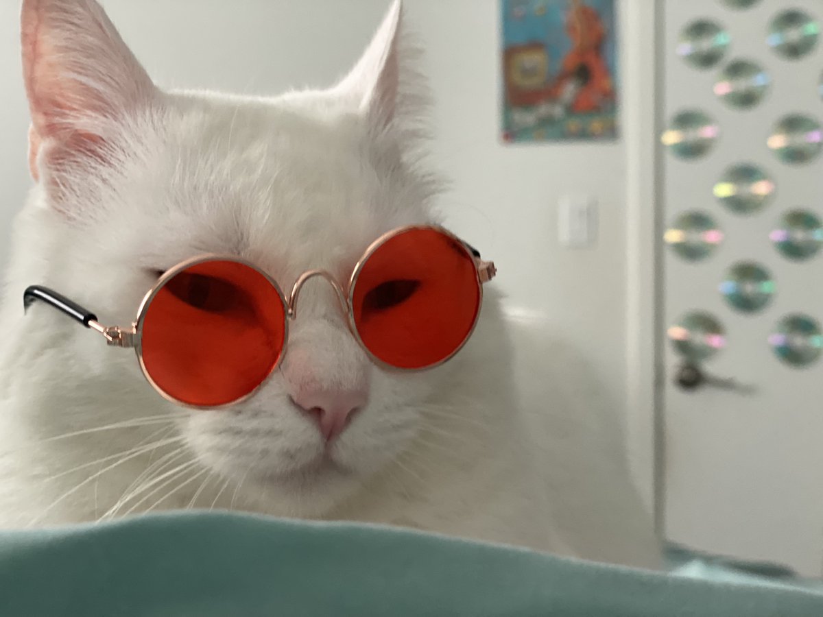 seradotwav's tweet image. SHOW YOUR LOOK 🥟 #STYLEMORE