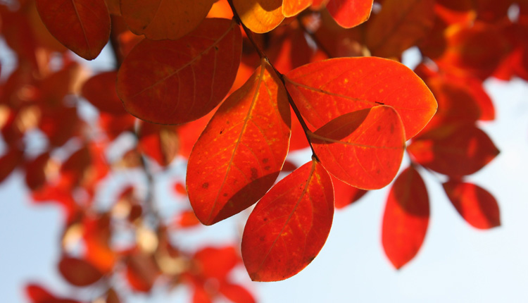 While Devon in the summer is akin to paradise, the autumn months in the county are pretty spectacular too, especially when the leaves start changing colour and the delicious foods start making their way onto the region’s menus. 
🍁  bit.ly/3i94wZX #visitdevon #lovedevon