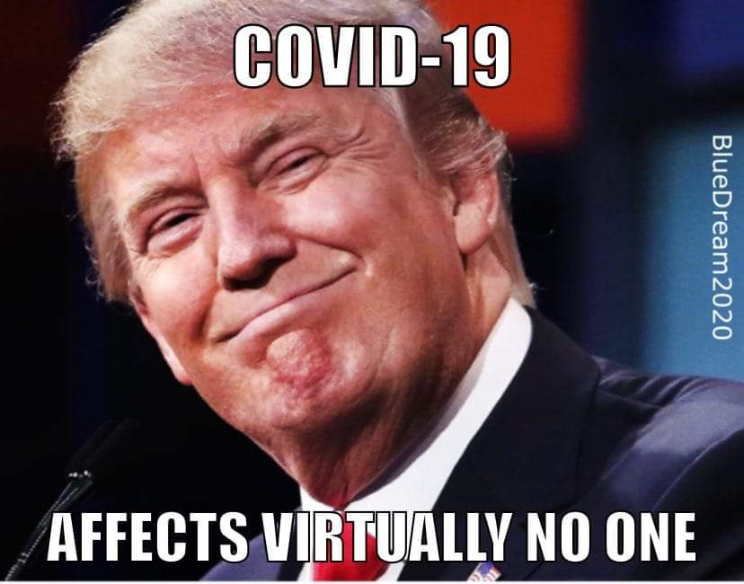 marie5483's tweet photo. @KLoeffler @realDonaldTrump @FLOTUS Trump's incompetence gave him the virus! His unwillingness to wear a mask gave him the virus! The lack of a national testing strategy gave him the virus! He said it would go away like a miracle...it didn't. #incompetentInChief
#MasksSaveLives #COVID19Crisis
#TrumpLiedPeopleDied https://t.co/y7OIhMyWuO