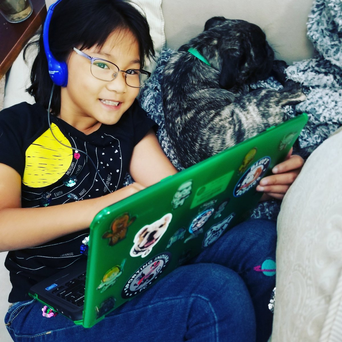 MyPugPua's tweet photo. Virtual learning support pug https://t.co/DQ52myKrUN