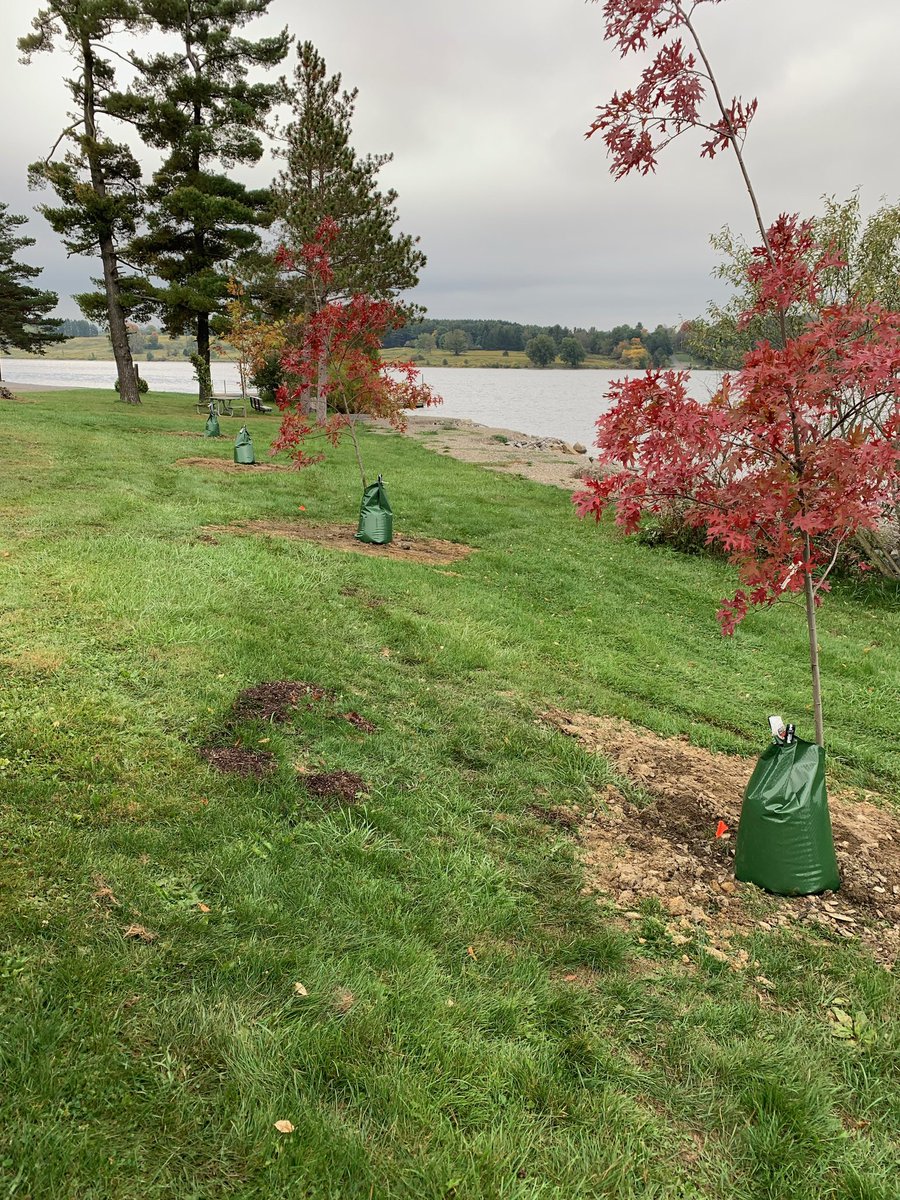 Ben_PFBC's tweet photo. New 🌳 🌲 🌳 planted at Prince Gallitzin State Park! @fishandboat partnered with @DCNRnews and the Cambria County Conservation District to stabilize the lake shoreline and add trees to the riparian buffer of the lake. @PennsylvaniaDEP Growing Greener funding at work. 👍 https://t.co/3aerkYRRVd
