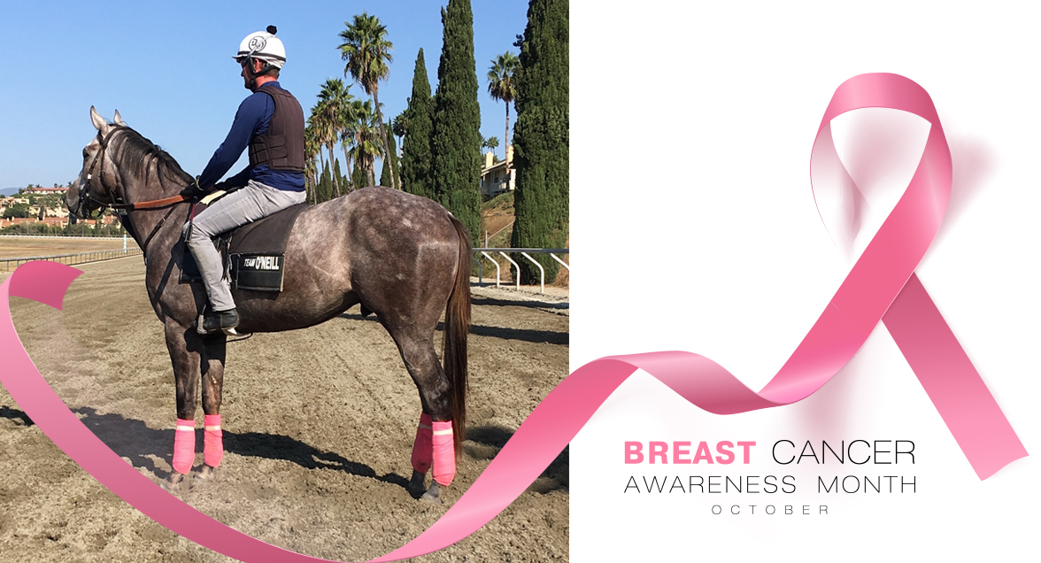 DougONeill1's tweet photo. Continuing our tradition of helping to raise awareness.  Here's Butkus modeling the pink wraps our horses will be wearing this month.  #BreastCancerAwarenessMonth #breastcancerawareness #breastcancer https://t.co/cwmdsqPhCz