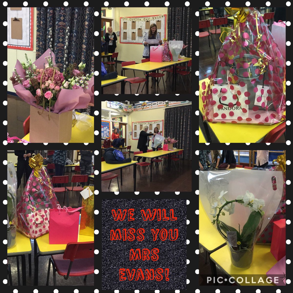 Malpas CiW Primary tweet media