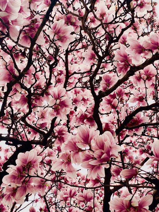 Aleksandr Grubin tweet media