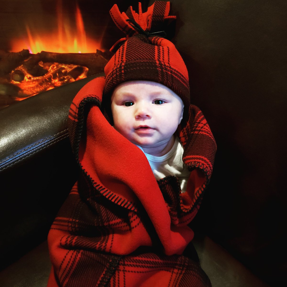 BuyMichiganNow's tweet photo. Happy Plaidurday from this adorable pumpkin and all of us. Show us your plaid pride! #plaidurday #upmi #stormykromer https://t.co/s7IKFSIEjt