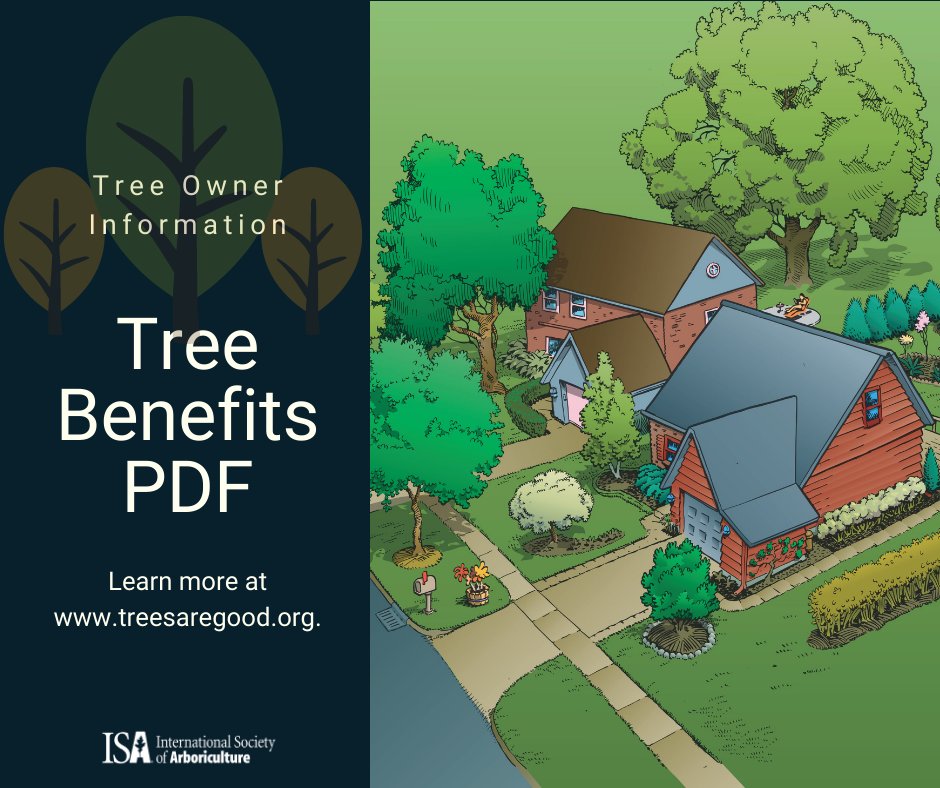 A first glance, you notice a tree’s beauty but did you know they also offer social, communal, environmental, and economic benefits? Learn more about all the wonderful benefits trees provide!  treesaregood.org/portals/0/docs… #TreeTwitter