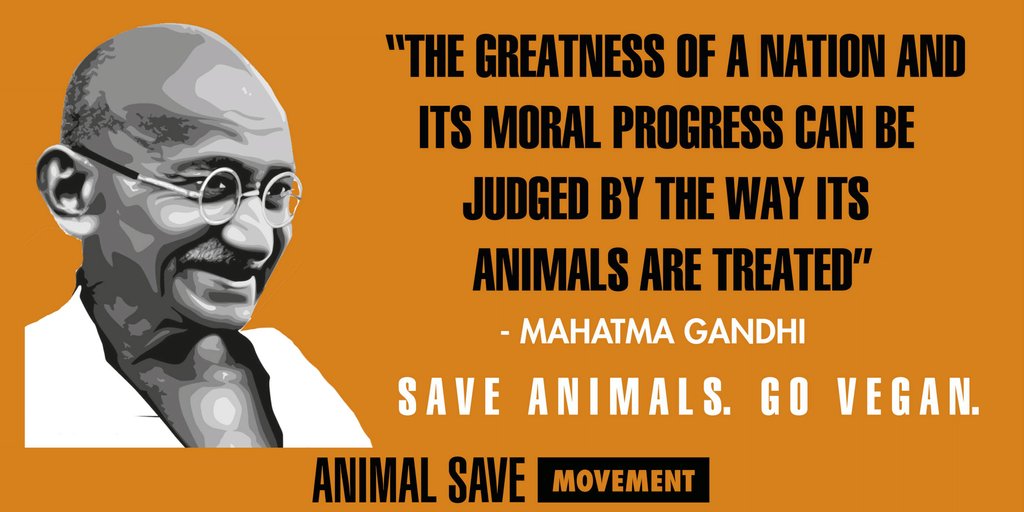 animalsavemvmt's tweet photo. October 2 is celebrated as the birthday of Mahatma Gandhi and he is remembered for historic relevance of his contribution to the freedom struggle. The Animal Save Movement believes in non- violent action through "Ahimsa" which is an inspiration from his core ideas. https://t.co/zaORjIPbTA