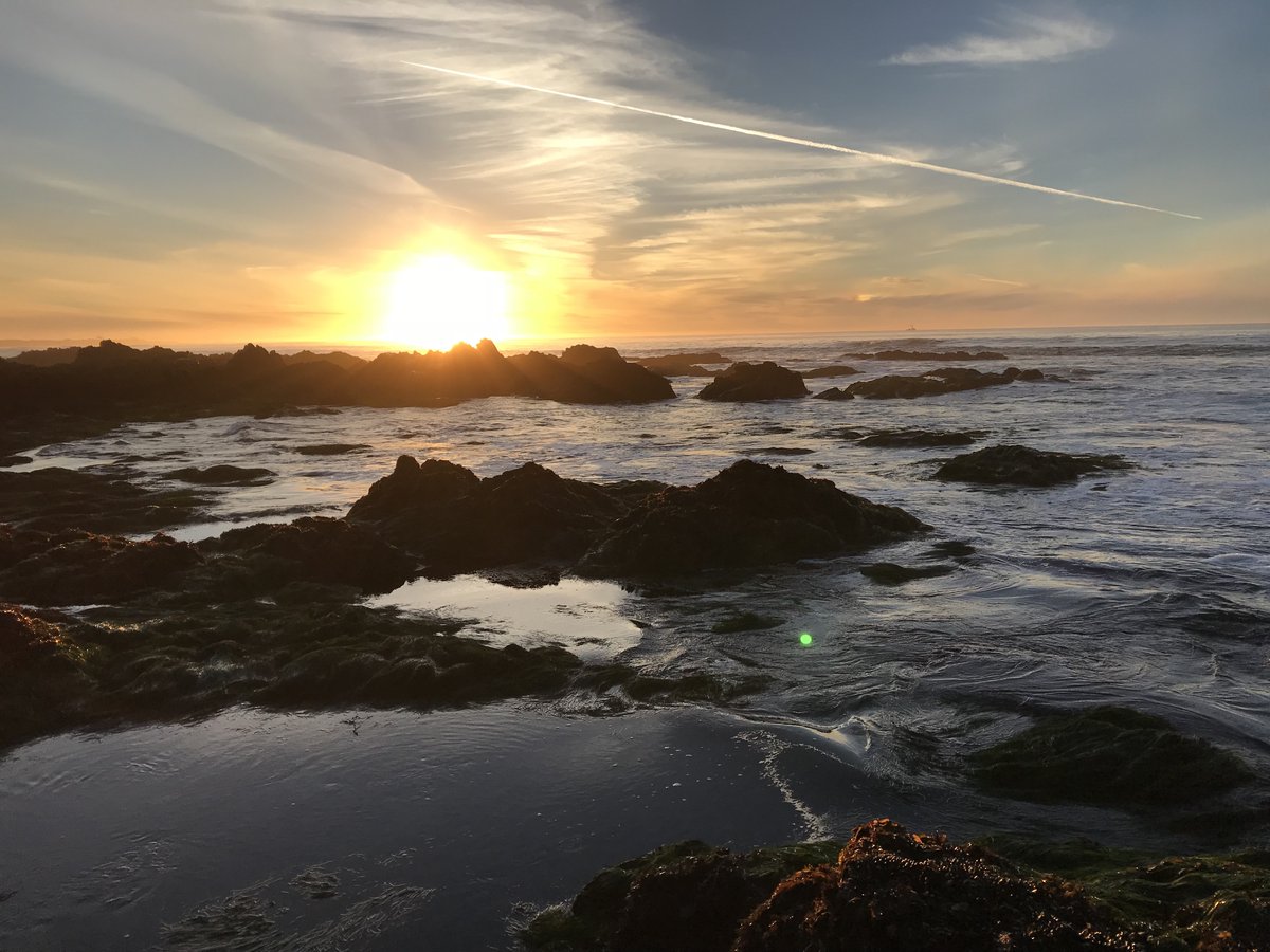 FarallonesNews's tweet photo. TY to @DisneyConserves for funding our work to educate &amp; inspire youth!

This award allows us to increase environmental literacy &amp; build stewardship while monitoring critical areas for kelp restoration.
@limpetsnews https://t.co/UCIDkVxCYM

#DisneyConservationFund #DCF25 https://t.co/rqvY1UlXRV
