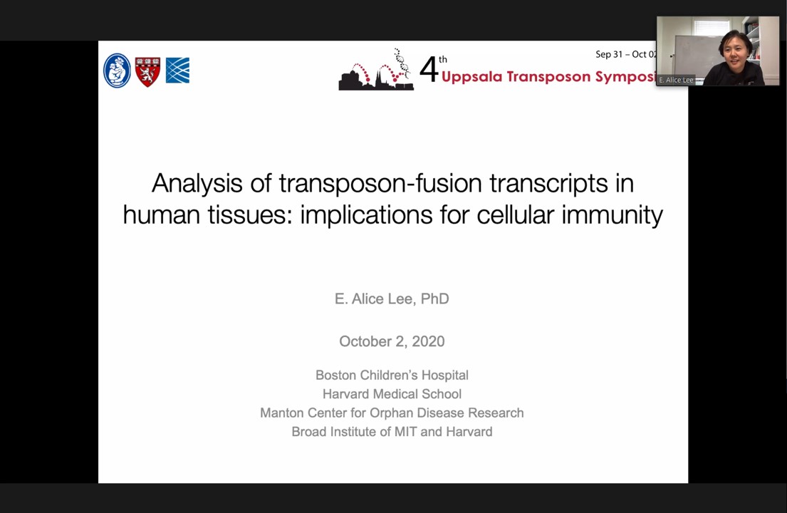 alexander_suh's tweet image. Our final invited talk at #UppTransposon2020 is by Alice Lee on her exciting research on transposon-fusion transcripts!