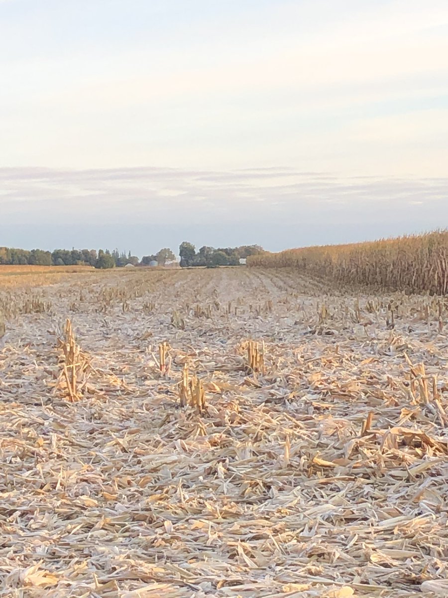 Soybean harvest is wrapping up in our territory and the weather is telling us it’s time to pick corn. Frost this morning in low areas in Southern Minnesota. Stay safe!
