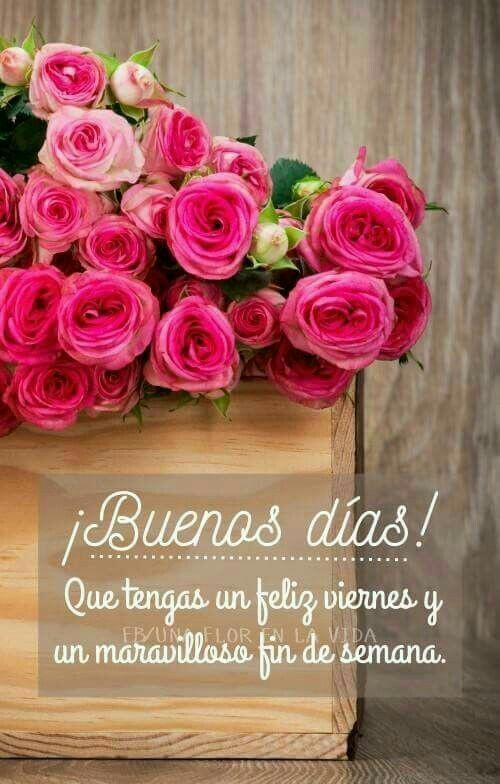 Top imagen sueños de rosas y poemas buenos dias con sueño Top imagen sueños de rosas y poemas buenos dias