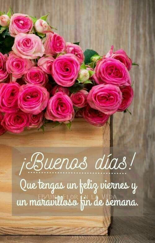 Uživatel Sueños de Poemas® na Twitteru: „@MariaMaryhala Amén 🙏 Agradecida  María, cada segundo! Sea un gran y hermoso día. Lleno de bendiciones y  sonrisas. Abrazos!“ / Twitter